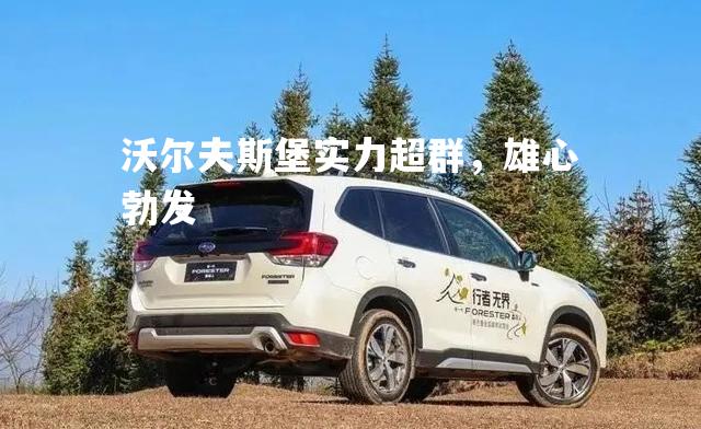 沃尔夫斯堡实力超群，雄心勃发