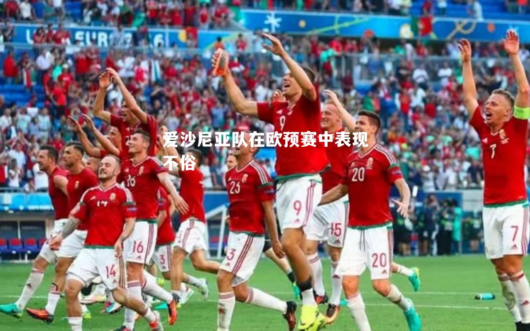 爱沙尼亚队在欧预赛中表现不俗