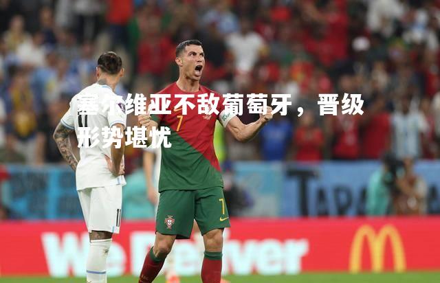 塞尔维亚不敌葡萄牙，晋级形势堪忧
