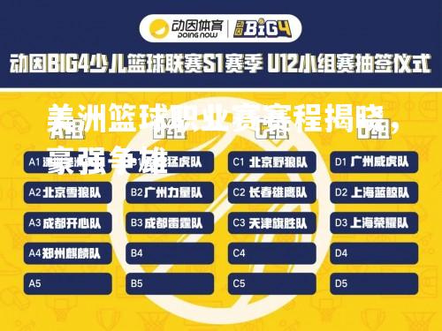 美洲篮球职业赛赛程揭晓，豪强争雄