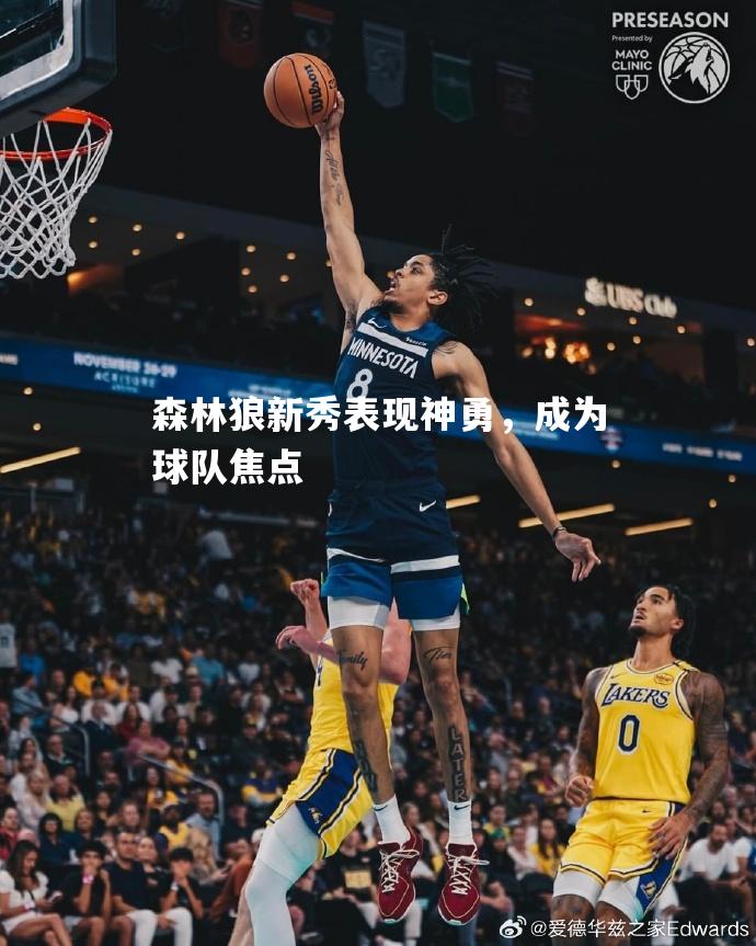 森林狼新秀表现神勇，成为球队焦点
