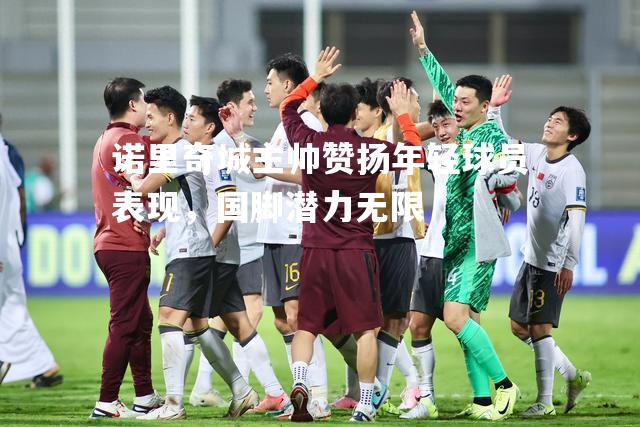 诺里奇城主帅赞扬年轻球员表现，国脚潜力无限