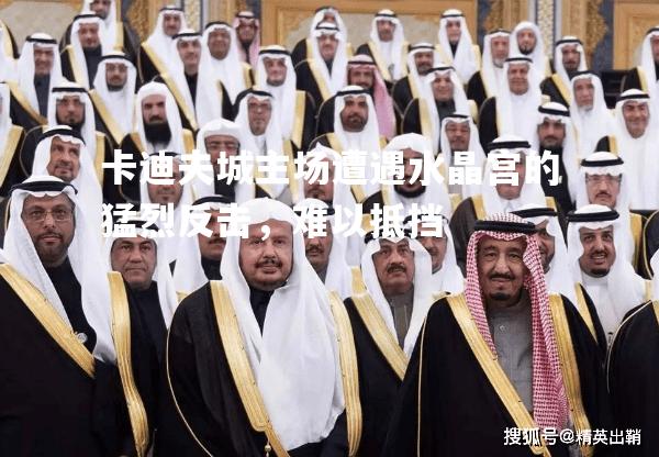 卡迪夫城主场遭遇水晶宫的猛烈反击，难以抵挡