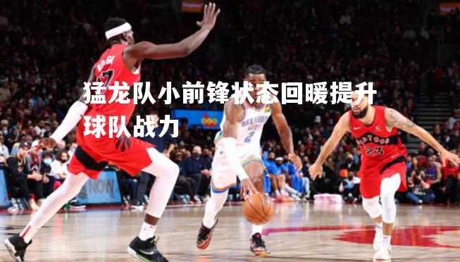 猛龙队小前锋状态回暖提升球队战力