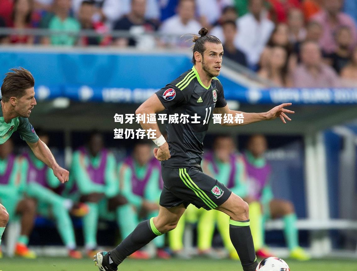 匈牙利逼平威尔士，晋级希望仍存在