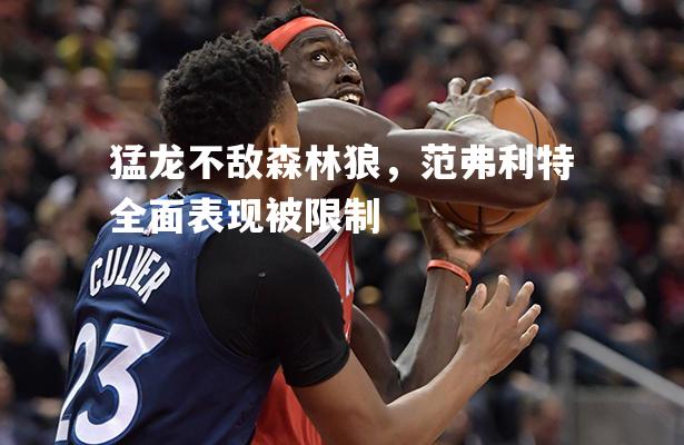猛龙不敌森林狼，范弗利特全面表现被限制