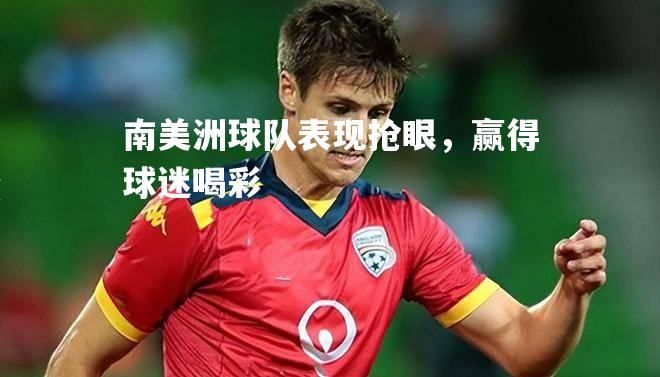 南美洲球队表现抢眼，赢得球迷喝彩